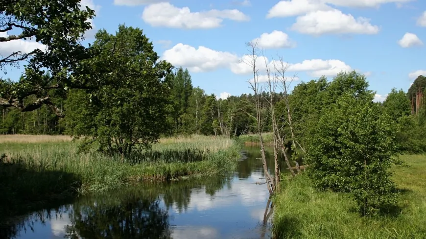 Zaborski Park Narodowy