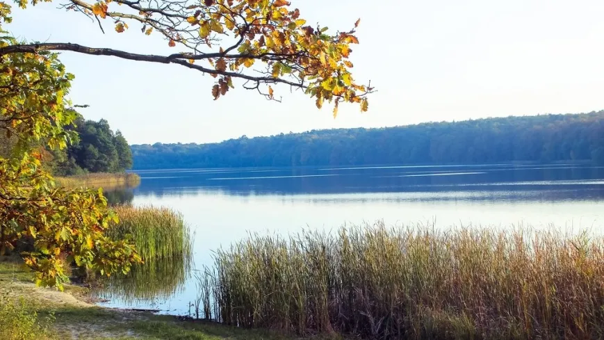 Wielkopolski Park Narodowy